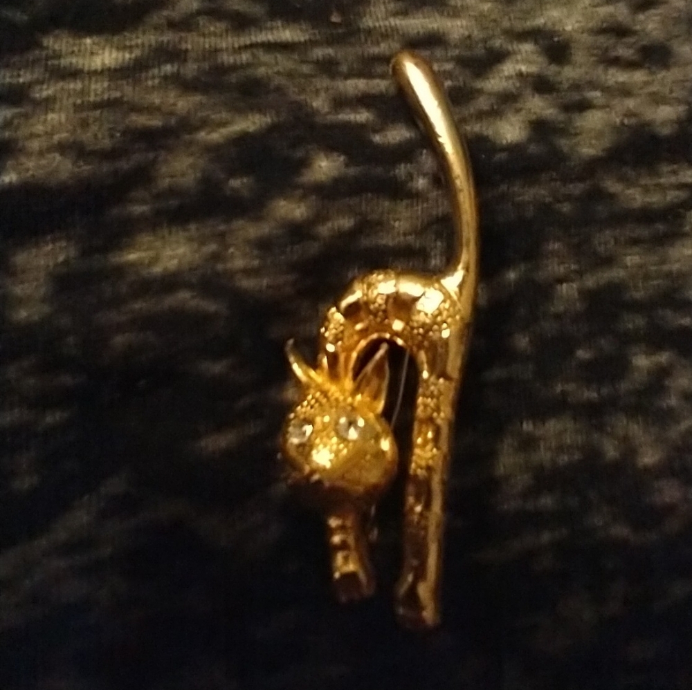 Vintage cat pin